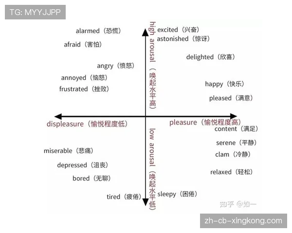 球员情绪识别技术在训练中的应用前景，球员情绪识别技术在训练中的应用前景